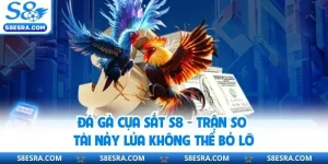 Đá Gà Cựa Sắt S8 - Trận So Tài Nảy Lửa Không Thể Bỏ Lỡ
