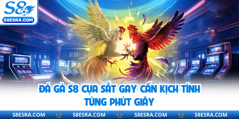 Đá gà S8 cựa sắt gay cấn kịch tính từng phút giây