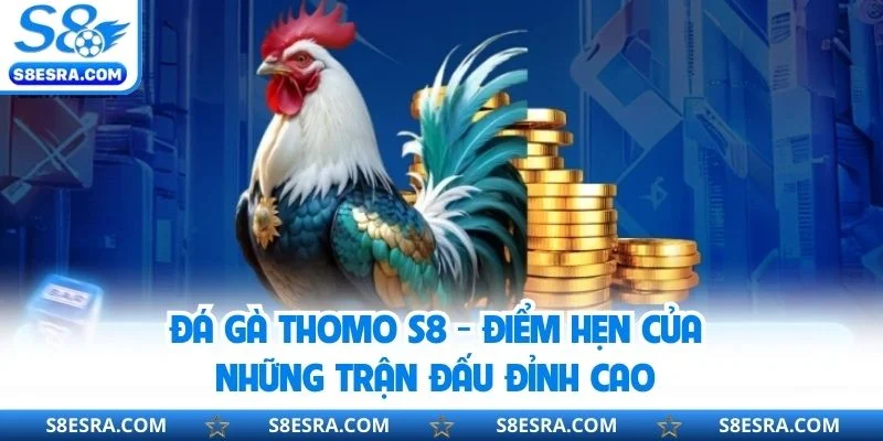 Đá Gà Thomo S8 - Điểm Hẹn Của Những Trận Đấu Đỉnh Cao