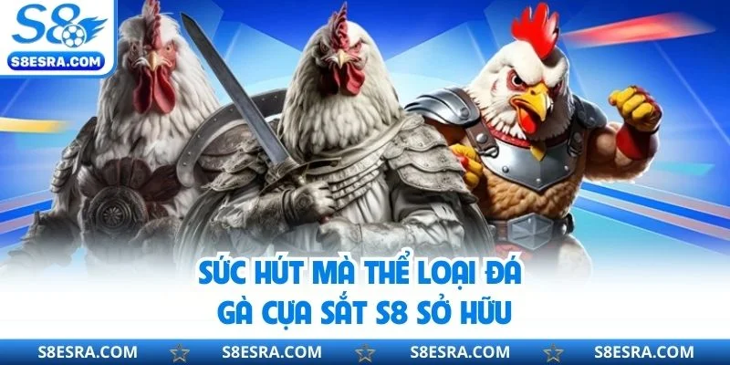 Sức hút mà thể loại đá gà cựa sắt S8 sở hữu