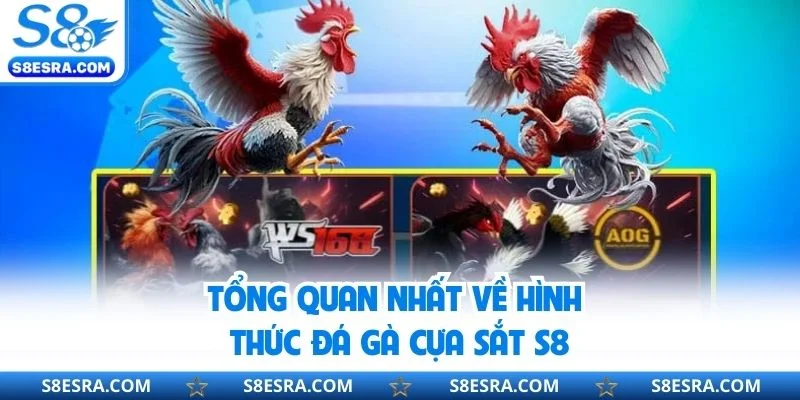 Tổng quan nhất về hình thức đá gà cựa sắt S8